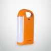 DIANA Emergency Light